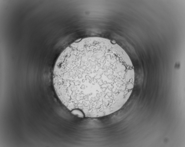 X0000102850427200809151132