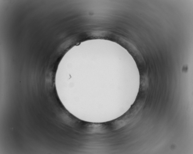 X0000102850428200809151132