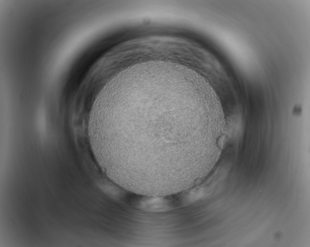 X0000102850431200809151132