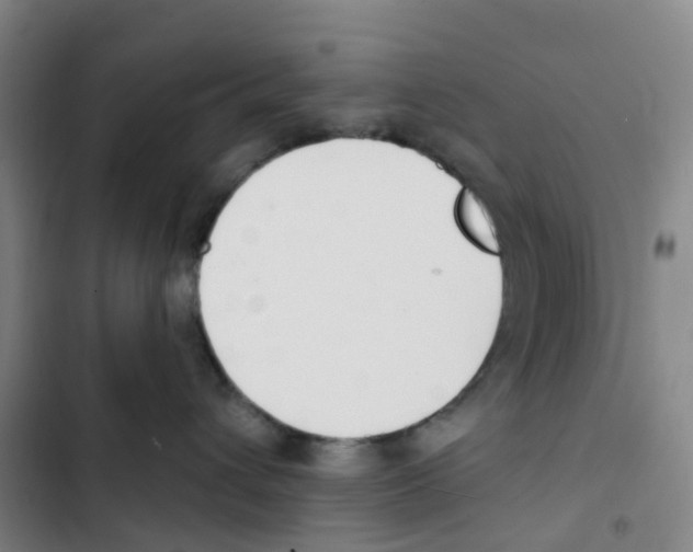 X0000102850432200809151132