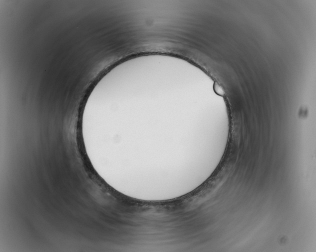 X0000102850434200809151131