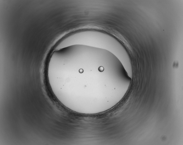 X0000102850436200809151131