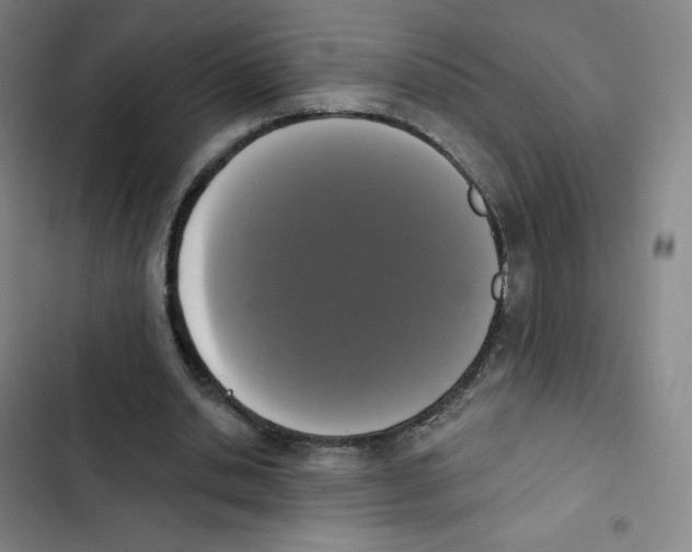 X0000102850438200809151131