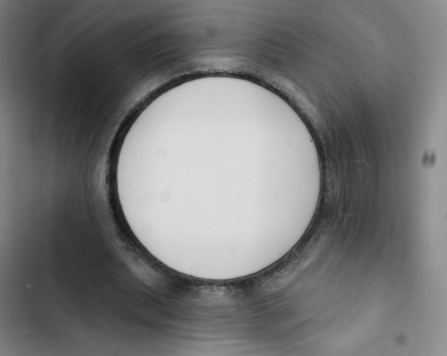 X0000102850439200809151131