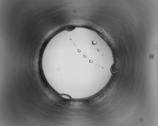 X0000102850440200809151131