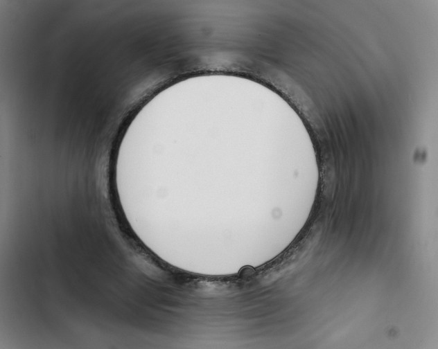 X0000102850442200809151131