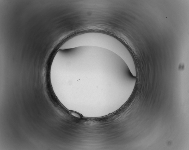 X0000102850444200809151131