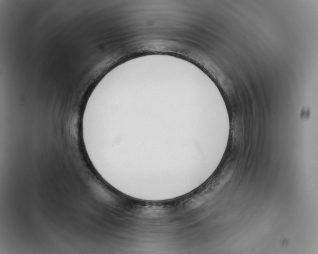 X0000102850445200809151131