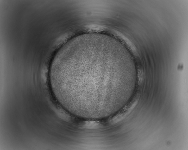 X0000102850451200809151131