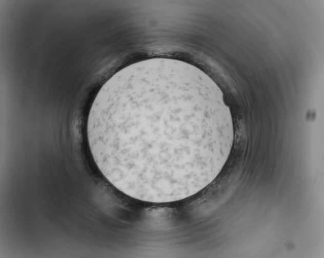 X0000102850452200809151131