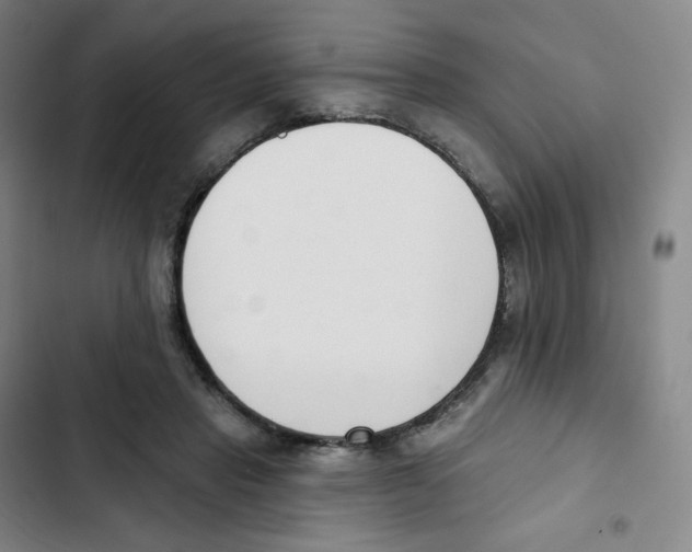 X0000102850453200809151131