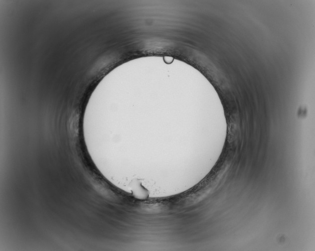 X0000102850454200809151131