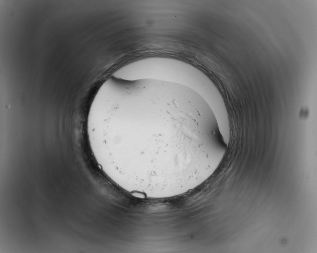 X0000102850456200809151131