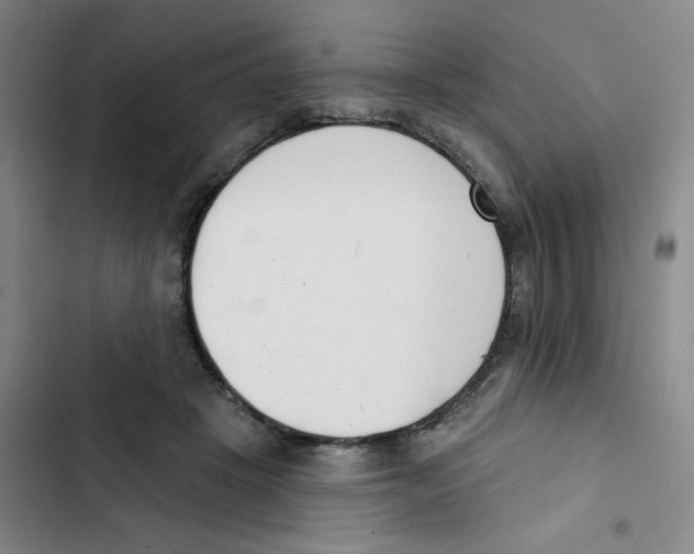 X0000102850457200809151131