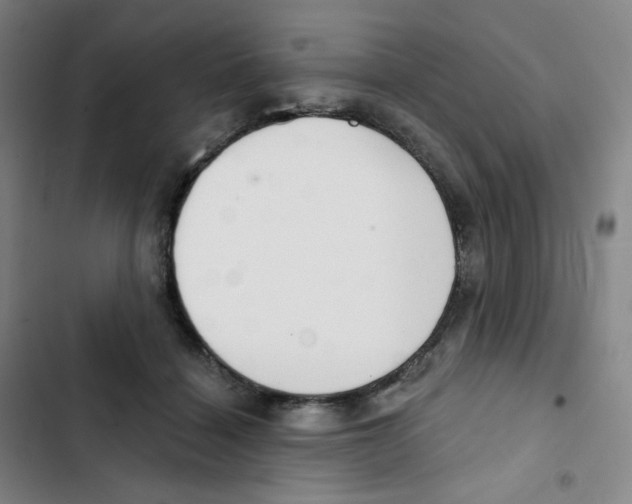 X0000102850460200809151131