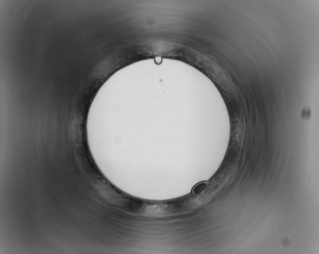 X0000102850461200809151131