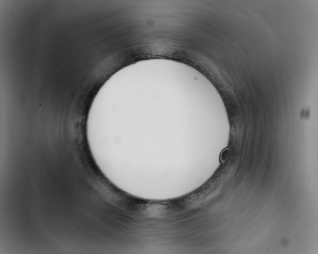 X0000102850462200809151132