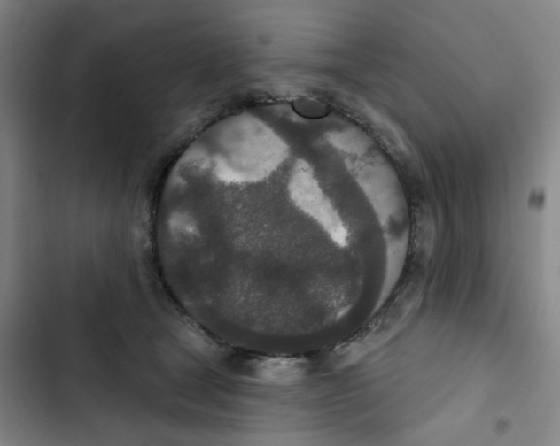 X0000102850465200809151132