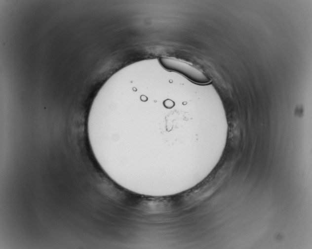 X0000102850466200809151132