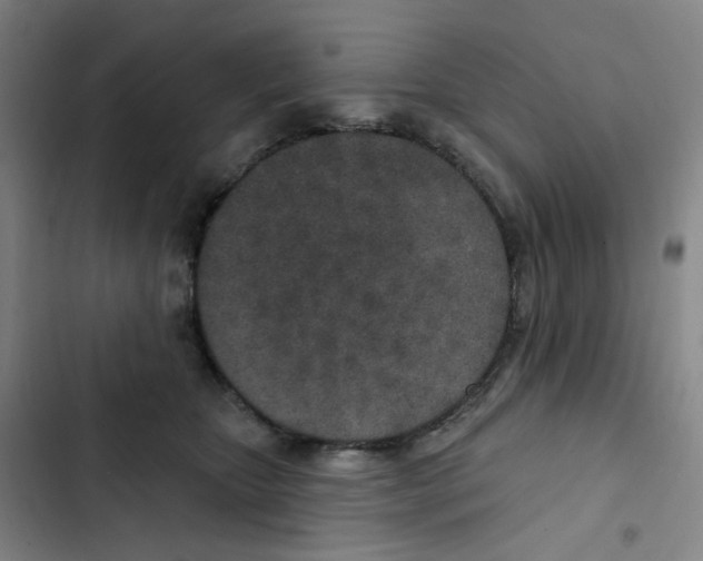 X0000102850467200809151132