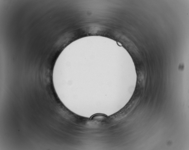 X0000102850470200809151132