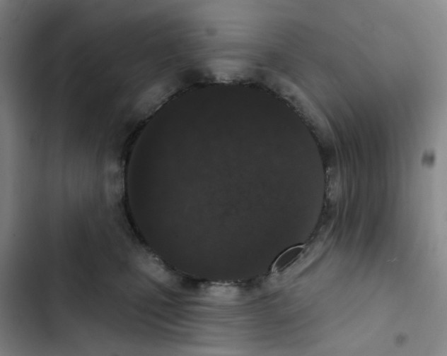 X0000102850471200809151132