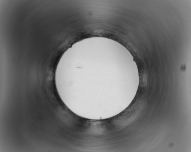 X0000102850472200809151132