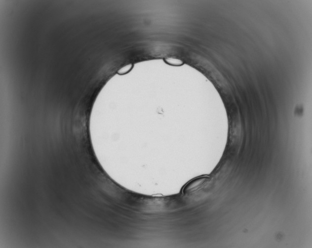 X0000102850473200809151132