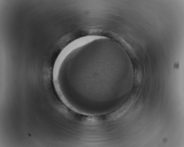 X0000102850475200809151132