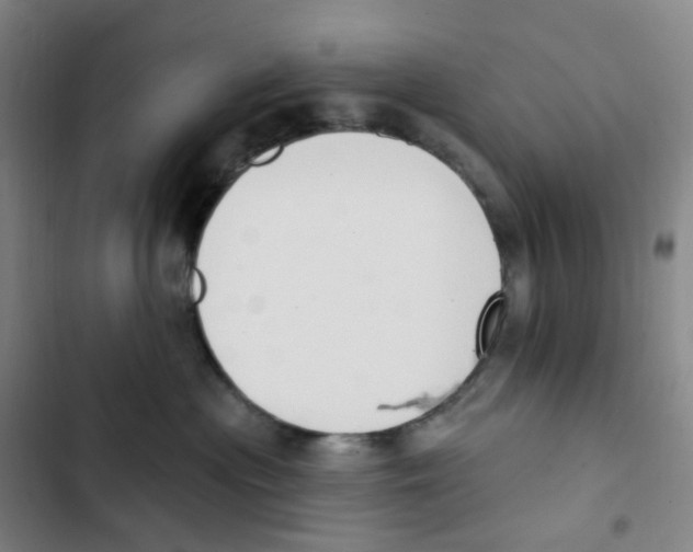 X0000102850477200809151132