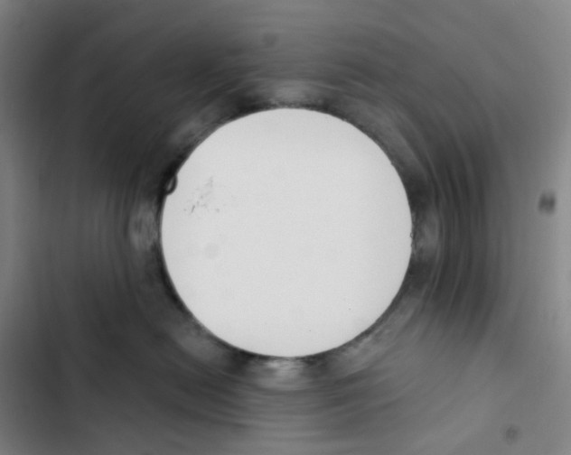 X0000102850478200809151132