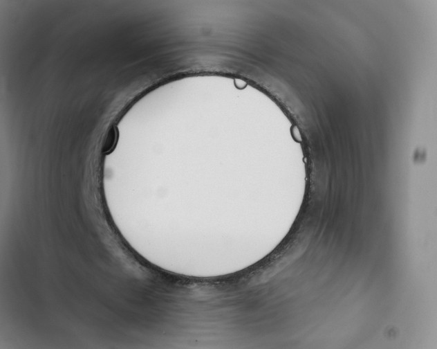 X0000102850481200809151131