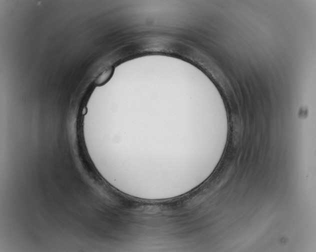 X0000102850482200809151131