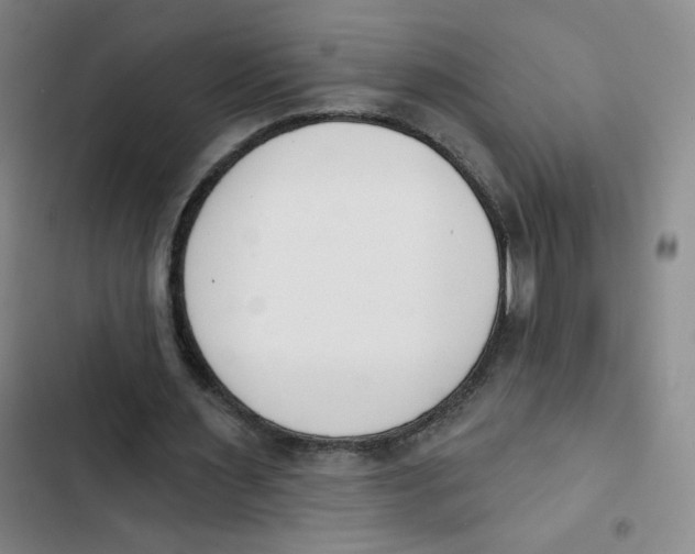 X0000102850483200809151131