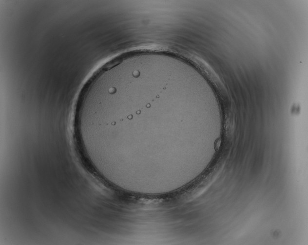 X0000102850484200809151131