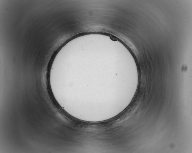 X0000102850485200809151131