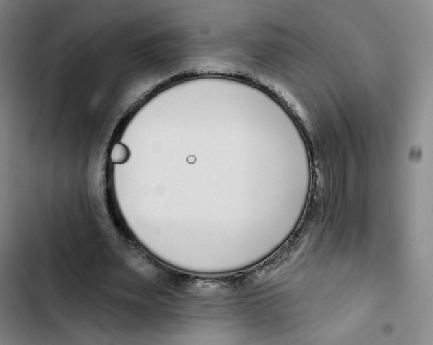 X0000102850487200809151131