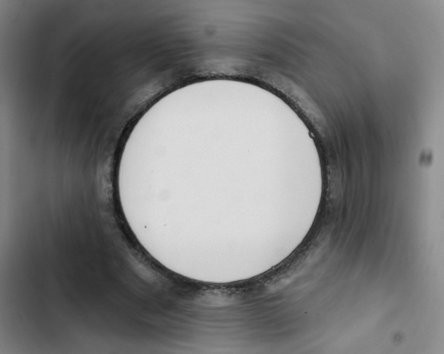 X0000102850489200809151131