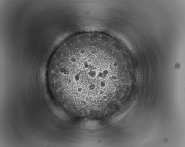 X0000102850491200809151131