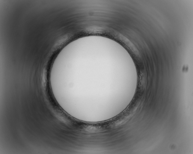 X0000102850494200809151131