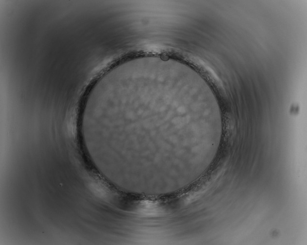 X0000102850496200809151131