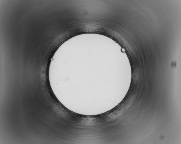 X0000102850497200809151131