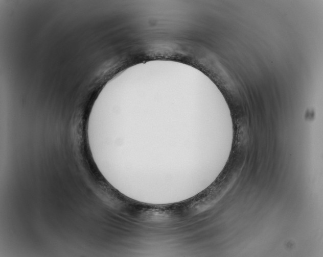 X0000102850498200809151131