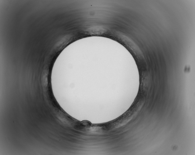 X0000102850501200809151131