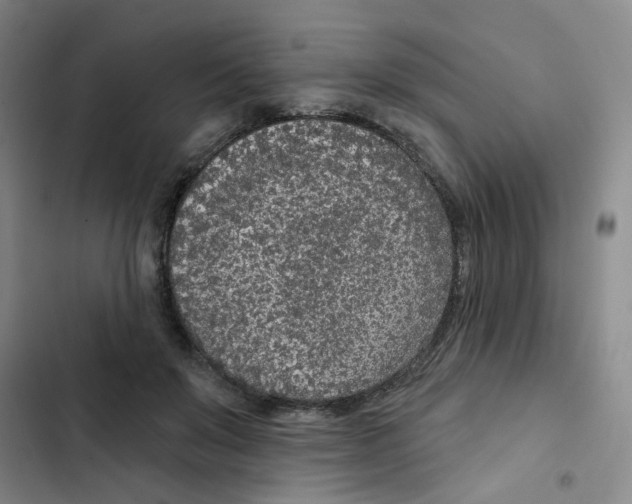 X0000102850503200809151131