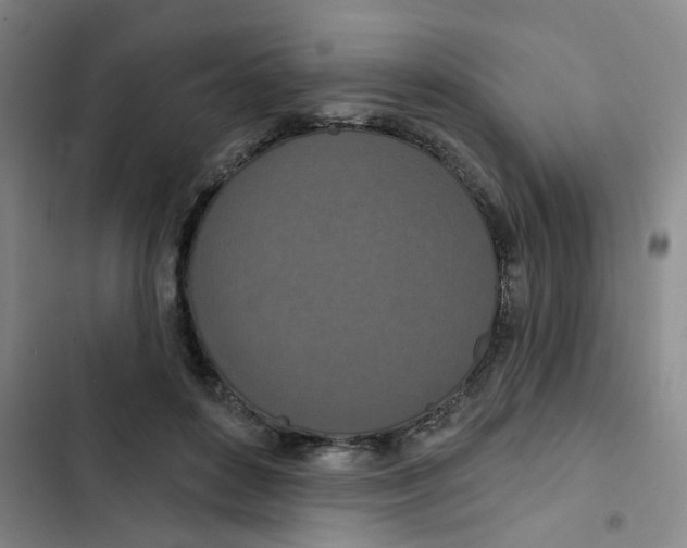 X0000102850504200809151131