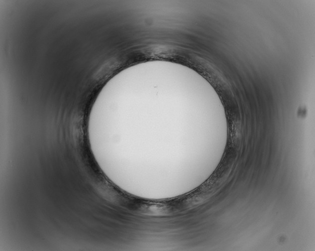 X0000102850506200809151131