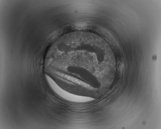 X0000102850507200809151131