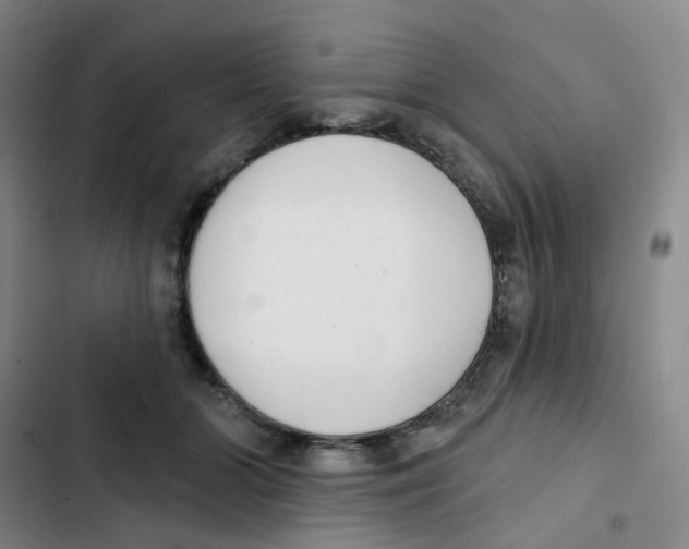 X0000102850510200809151131