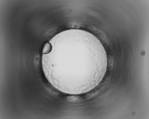 X0000102850511200809151131